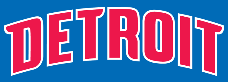 Detroit Pistons 2001-Pres Wordmark Logo t shirts iron on transfers v3...
